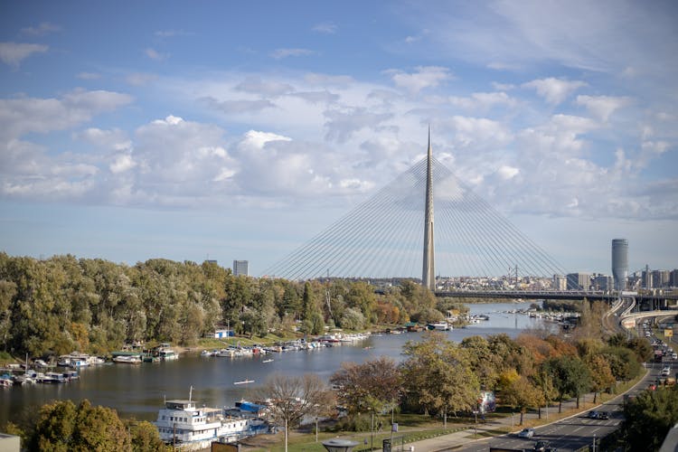 Ada Bridge In Belgrade