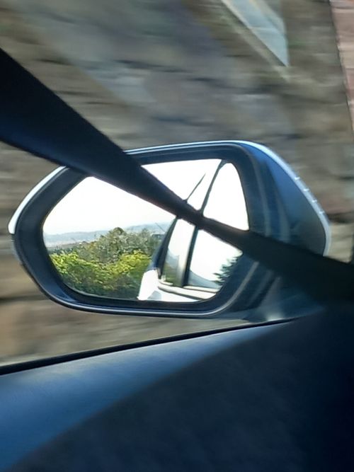 Free Field Stock Photo