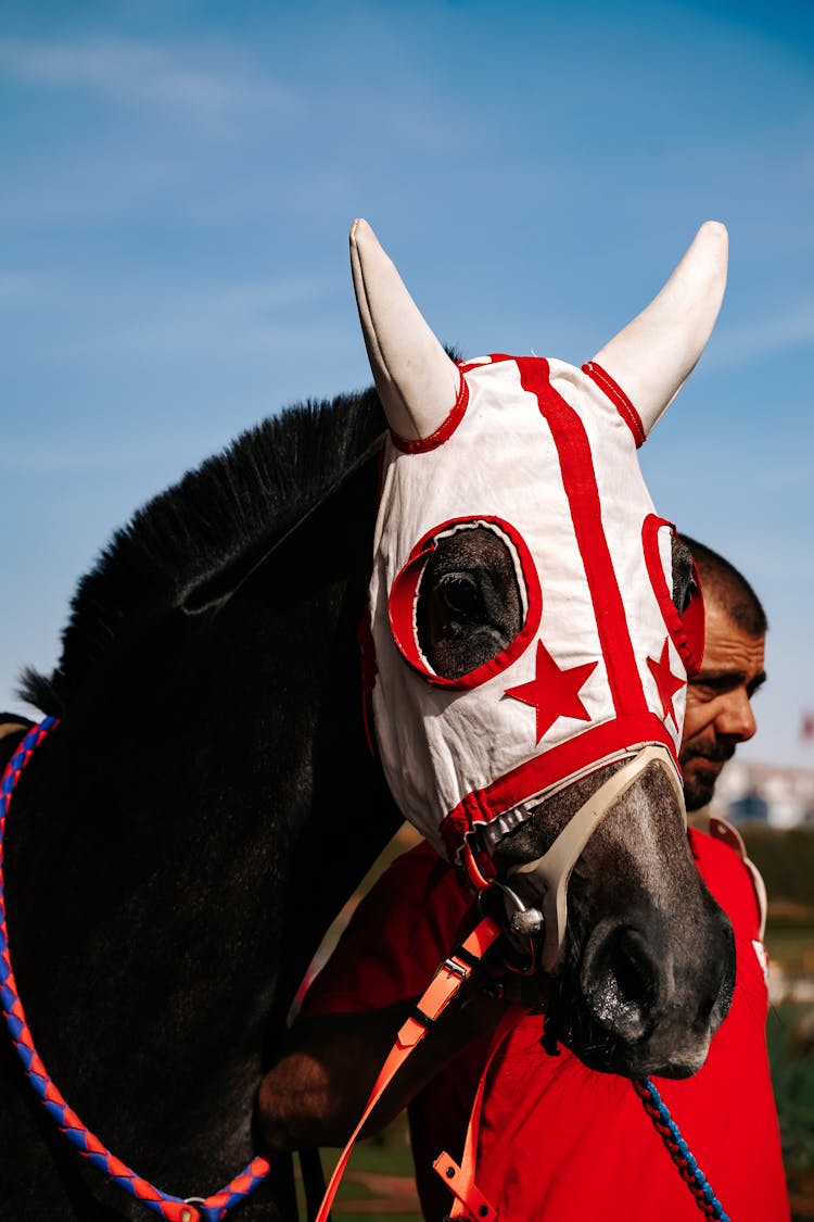 Closeup Of A Horse Wearing A Mask