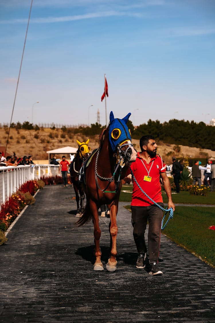 Man With A Horse On A Race 