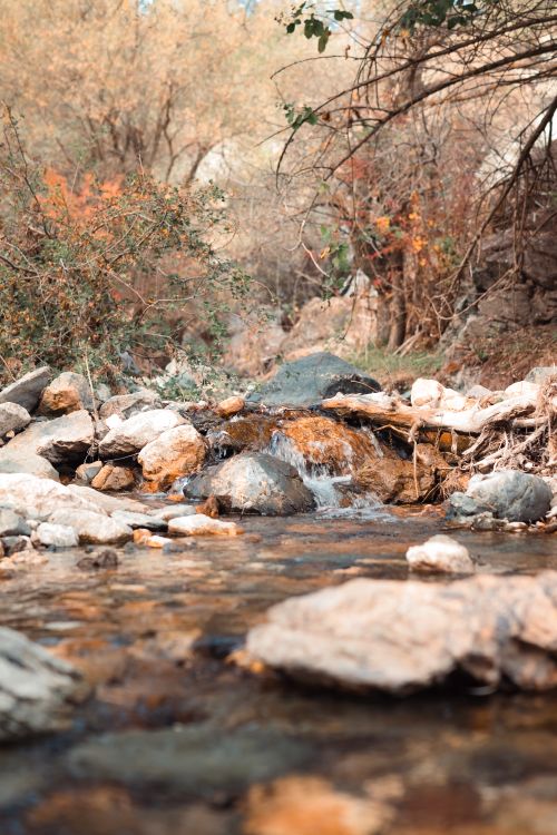 Free A peaceful creek cascades over rocks in a vibrant autumn forest setting. Stock Photo