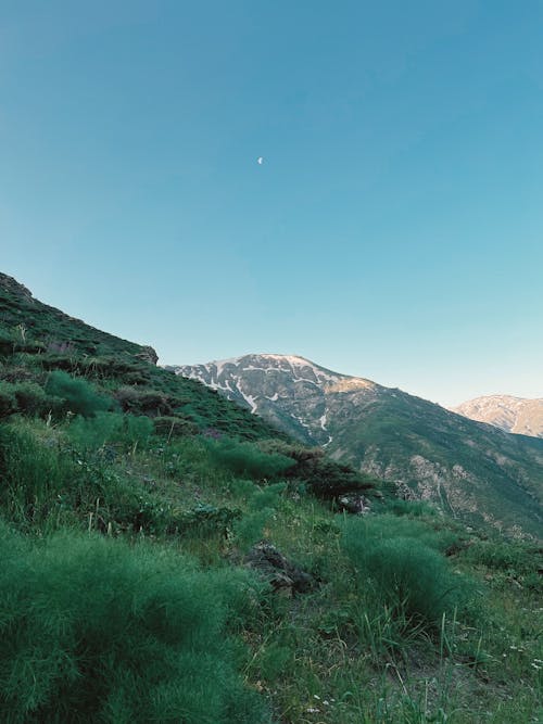 Бесплатное стоковое фото с вертикальный выстрел, горный пик, зеленая трава