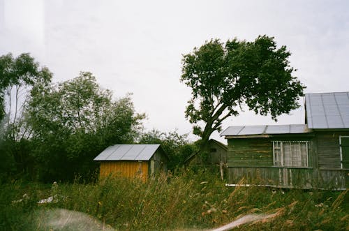 Бесплатное стоковое фото с деревенский, деревья, деревянный