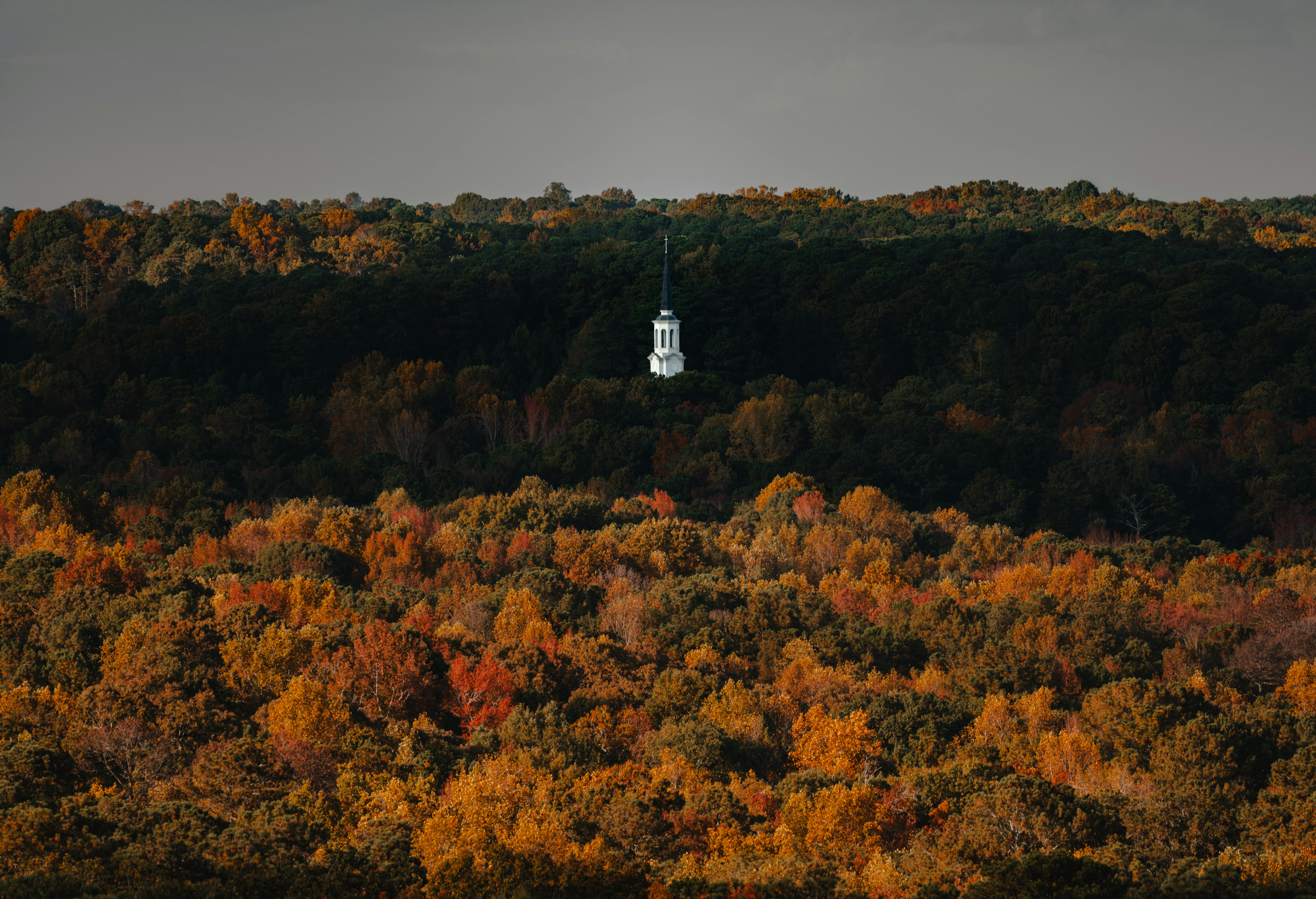 Tanya Tucker Nudes Photos, Download The BEST Free Tanya Tucker Nudes