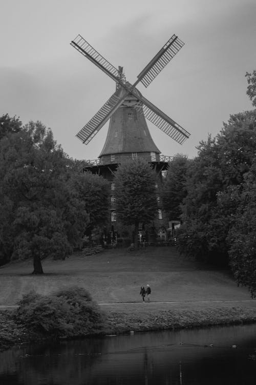 Foto d'estoc gratuïta de arbres, blanc i negre, edifici