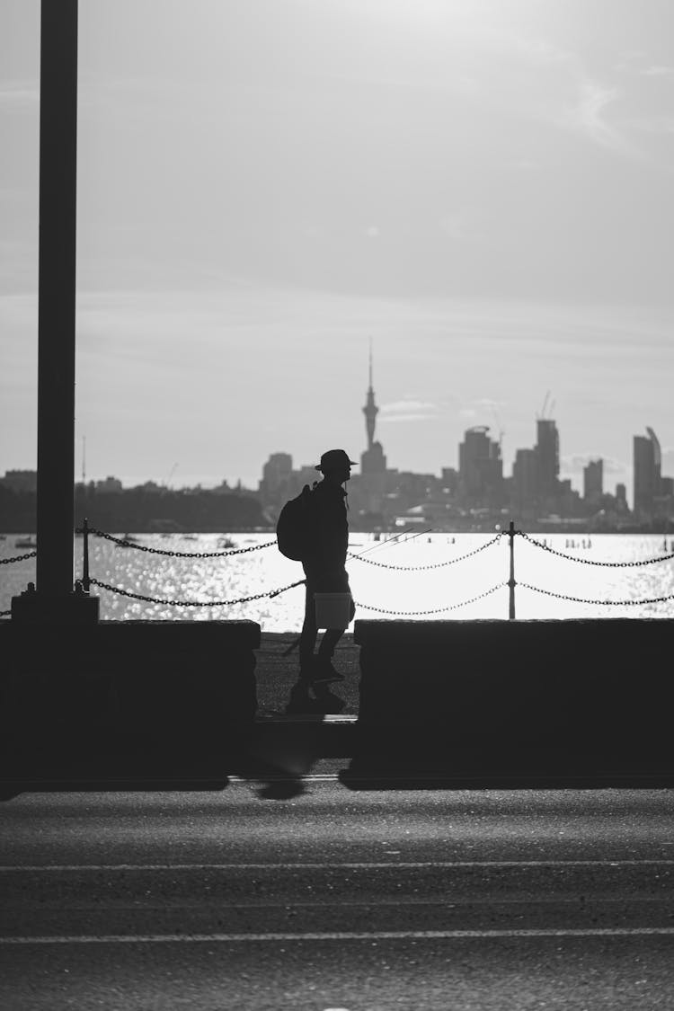 New Zealand Urban Landscape