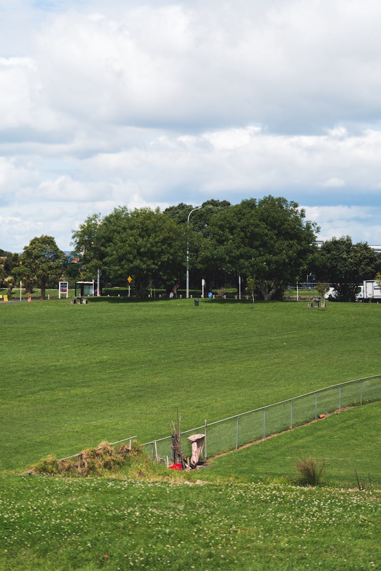 New Zealand Urban Landscape