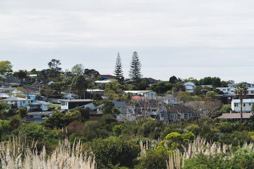 New Zealand Urban Landscape