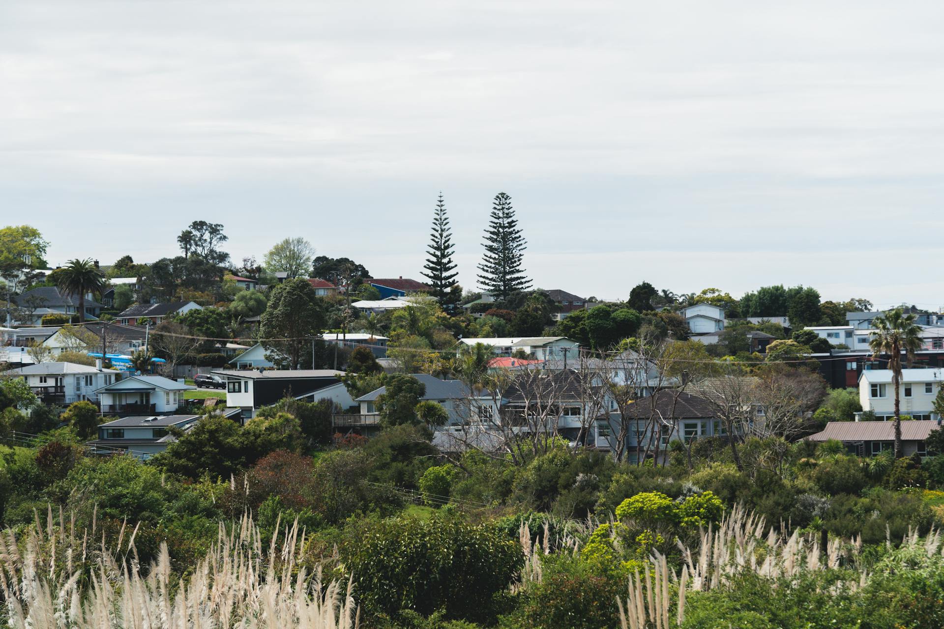 New Zealand Urban Landscape