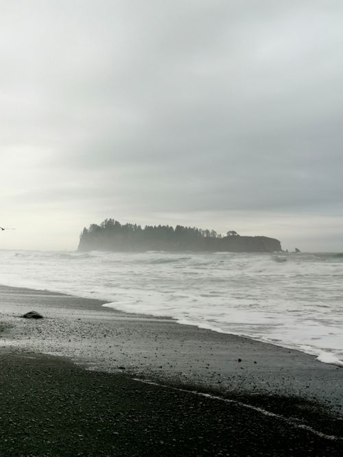Free Foggy shoreline of a Washington State beach with distant island view. Stock Photo