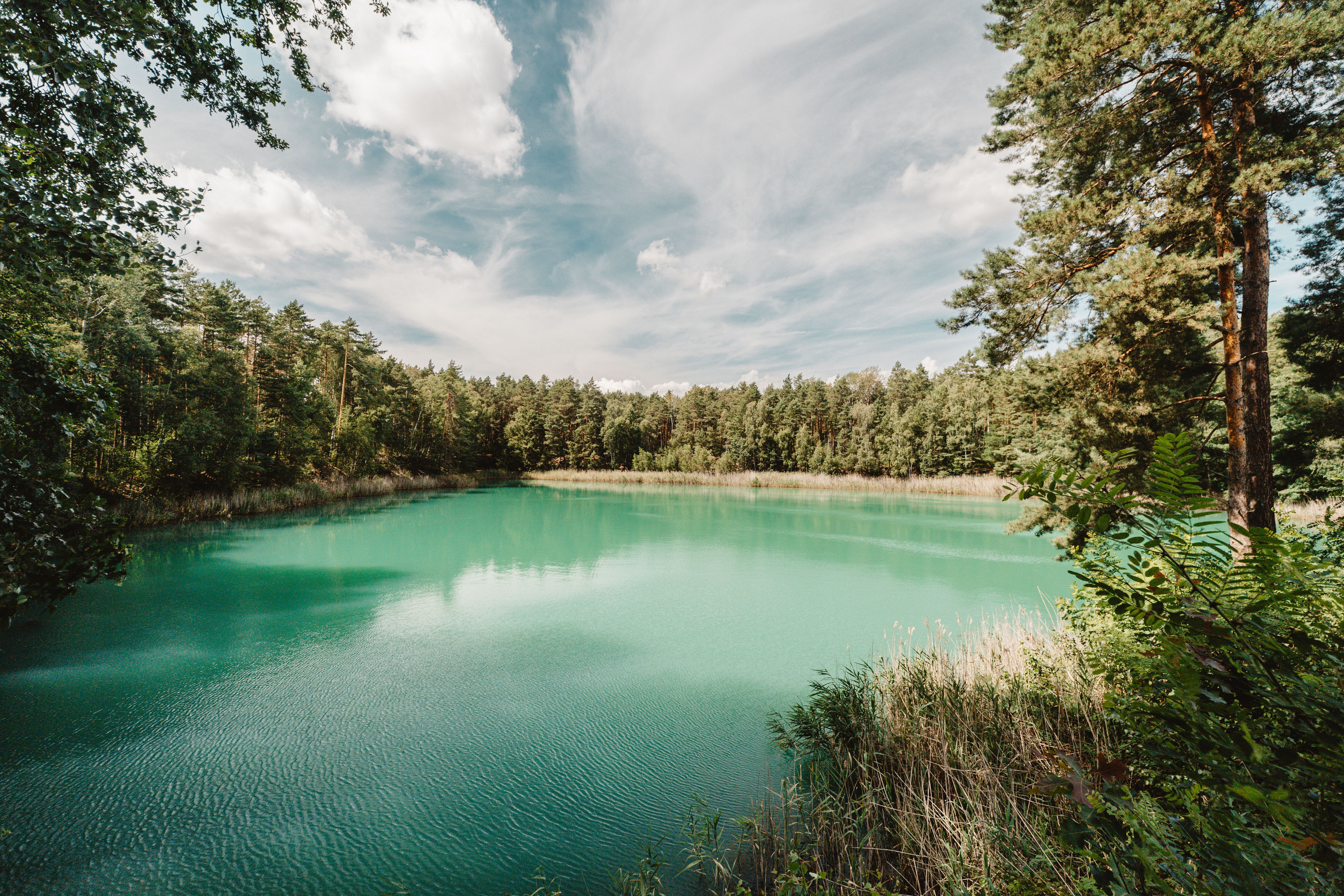Turquoise Lake surrounded by a Forest · Free Stock Photo