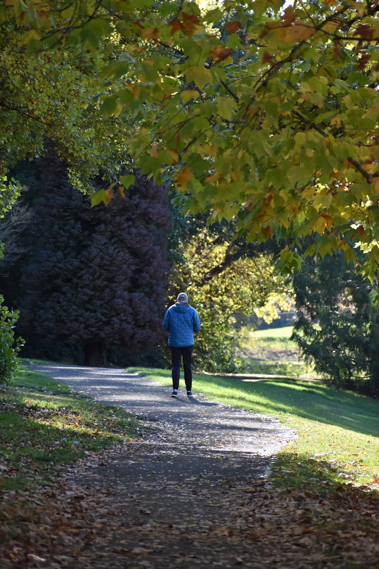 Man In Park