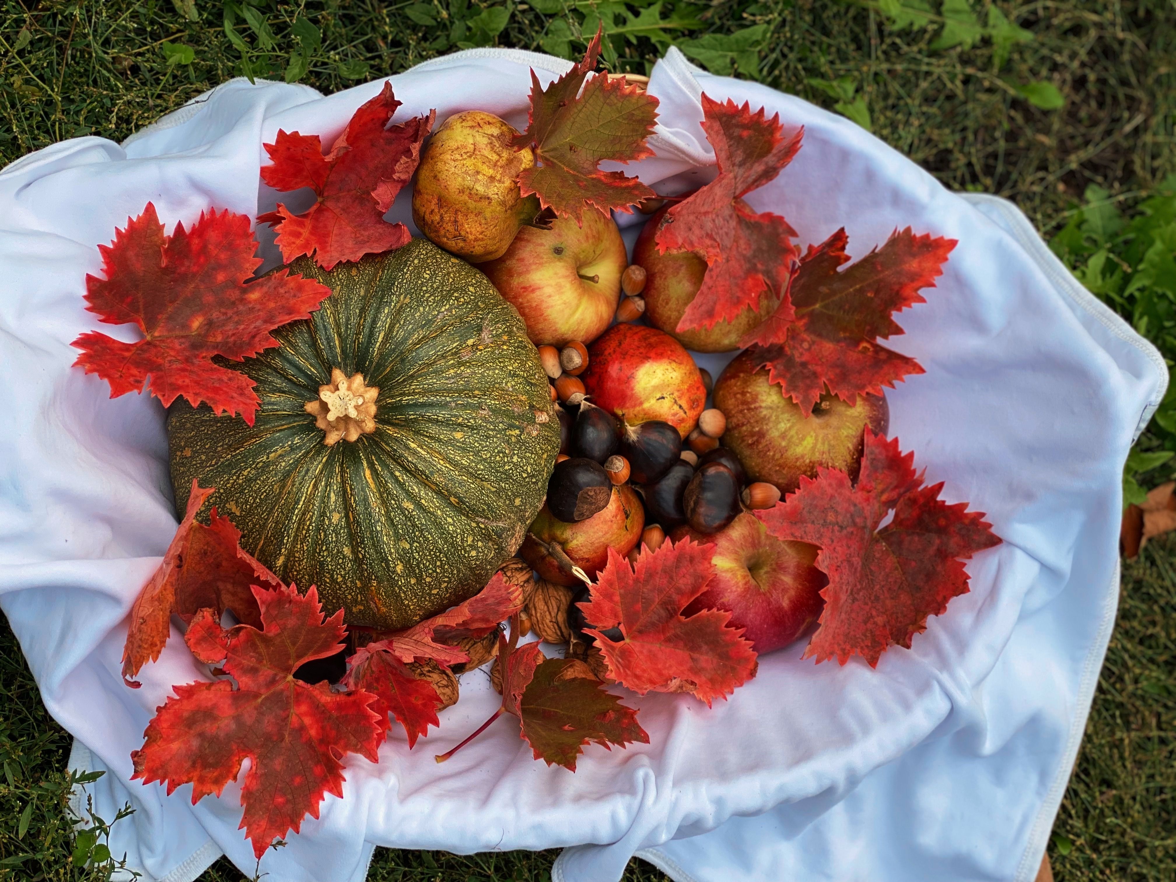 fresh pumpkin, kale, and apples on a rustic table - vegan fall lunch ideas