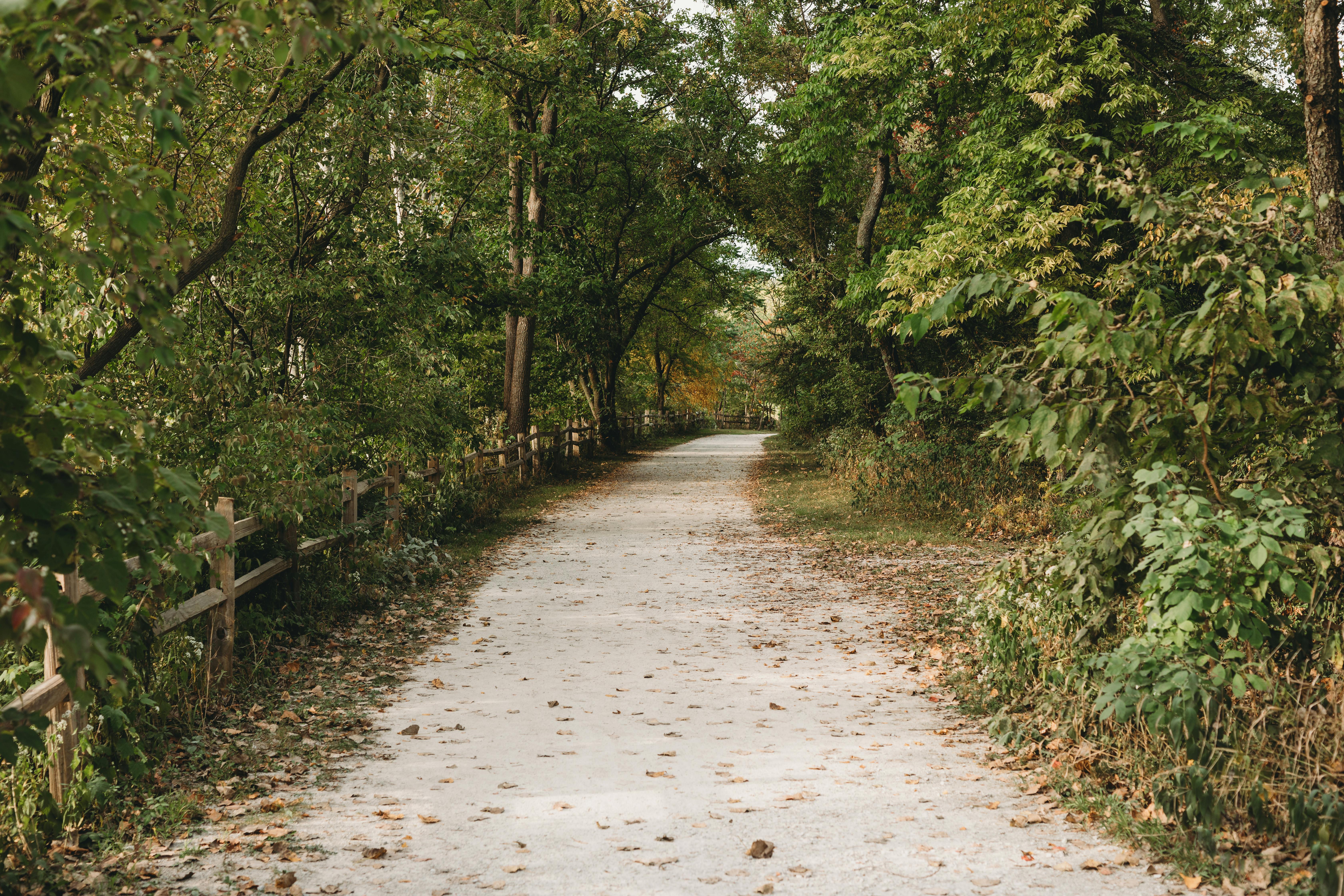 DuPage Forest Preserve executive director leaving for city manager job in Florida — Photo by Steven Van Elk on Pexels
