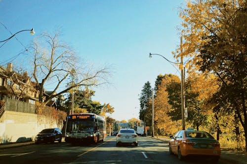 Traffic along an Asphalt Road in Autumn