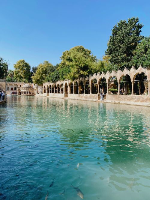 Free Beautiful view of the historical pool and arches in Şanlıurfa, Türkiye, surrounded by lush trees. Stock Photo