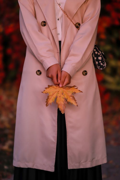 가을, 서 있는, 손의 무료 스톡 사진