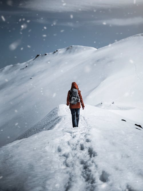 Free Back View of a Person in Winter Clothing Walking Alone on Snow Covered Ground Stock Photo