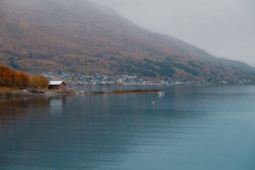 Lake and Forest on the Lakeshore in Autumn 