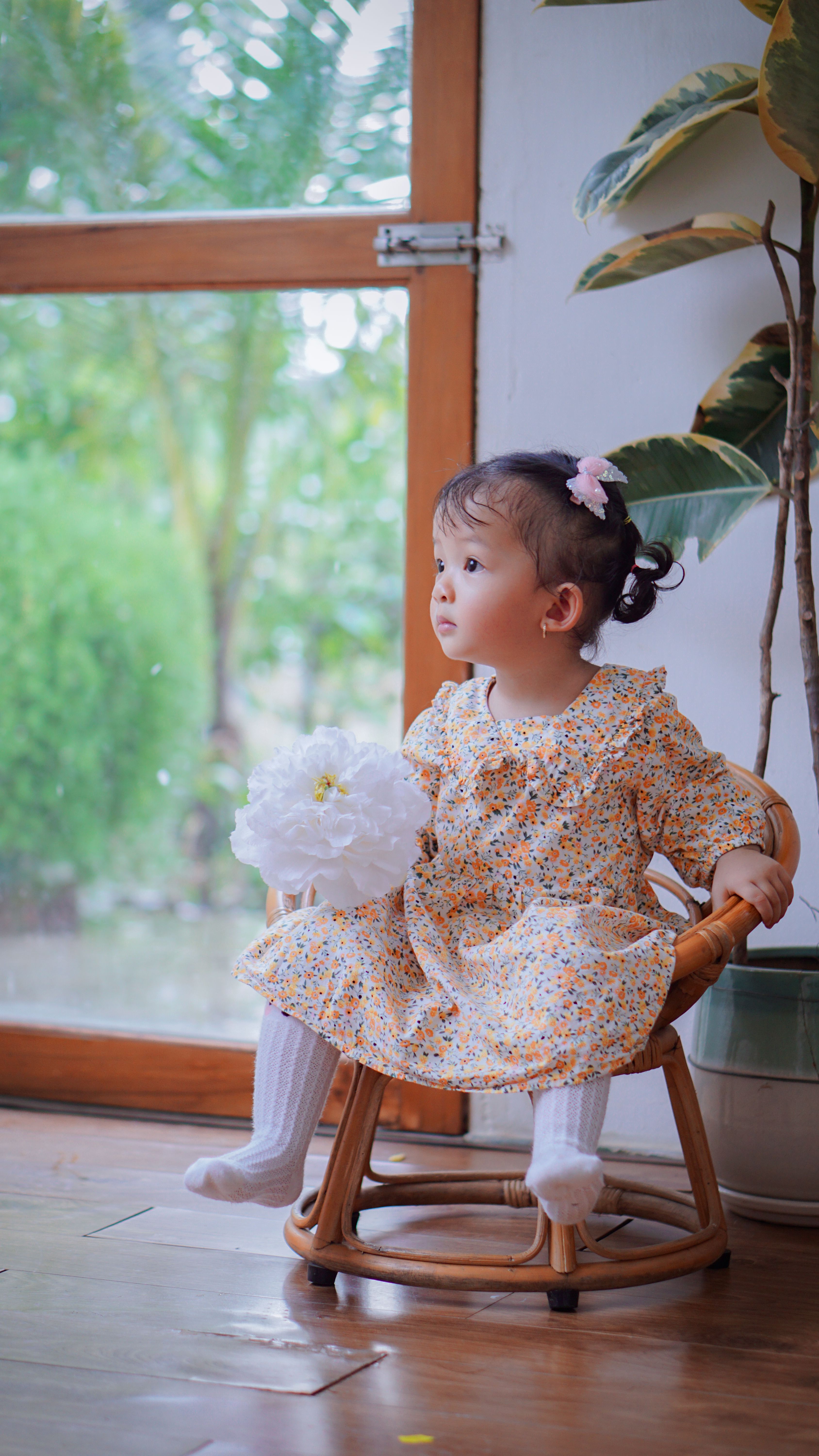 Girl in a Dress Holding a Flower · Free Stock Photo