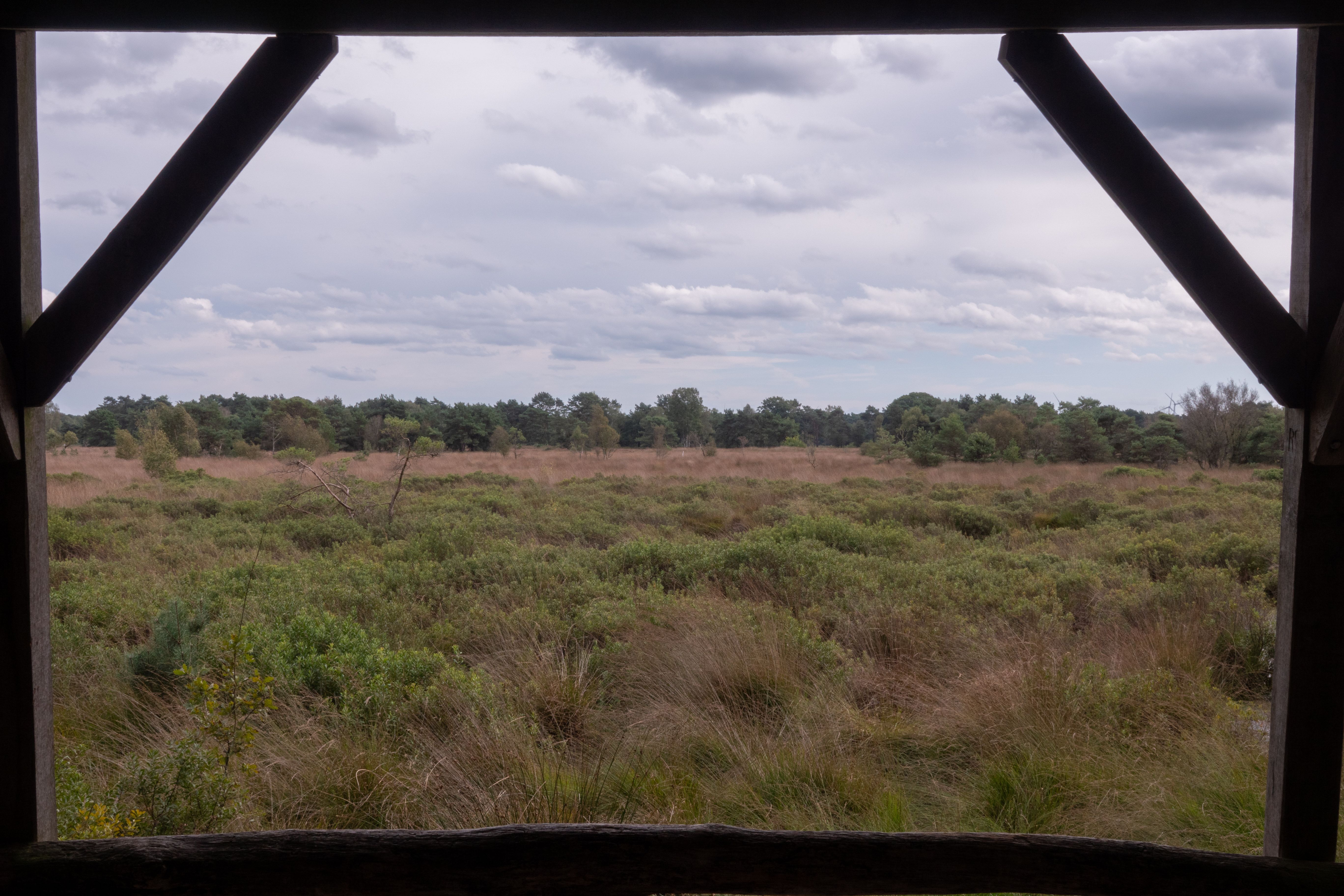 Field in a Wooden Frame · Free Stock Photo