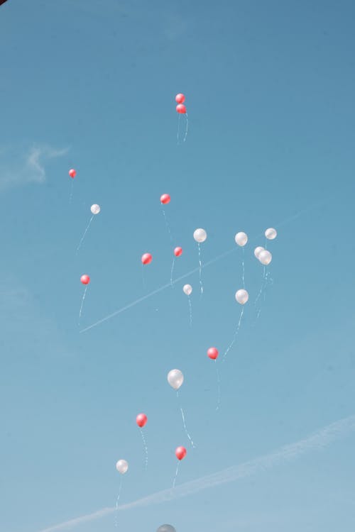 Balloons in the Sky