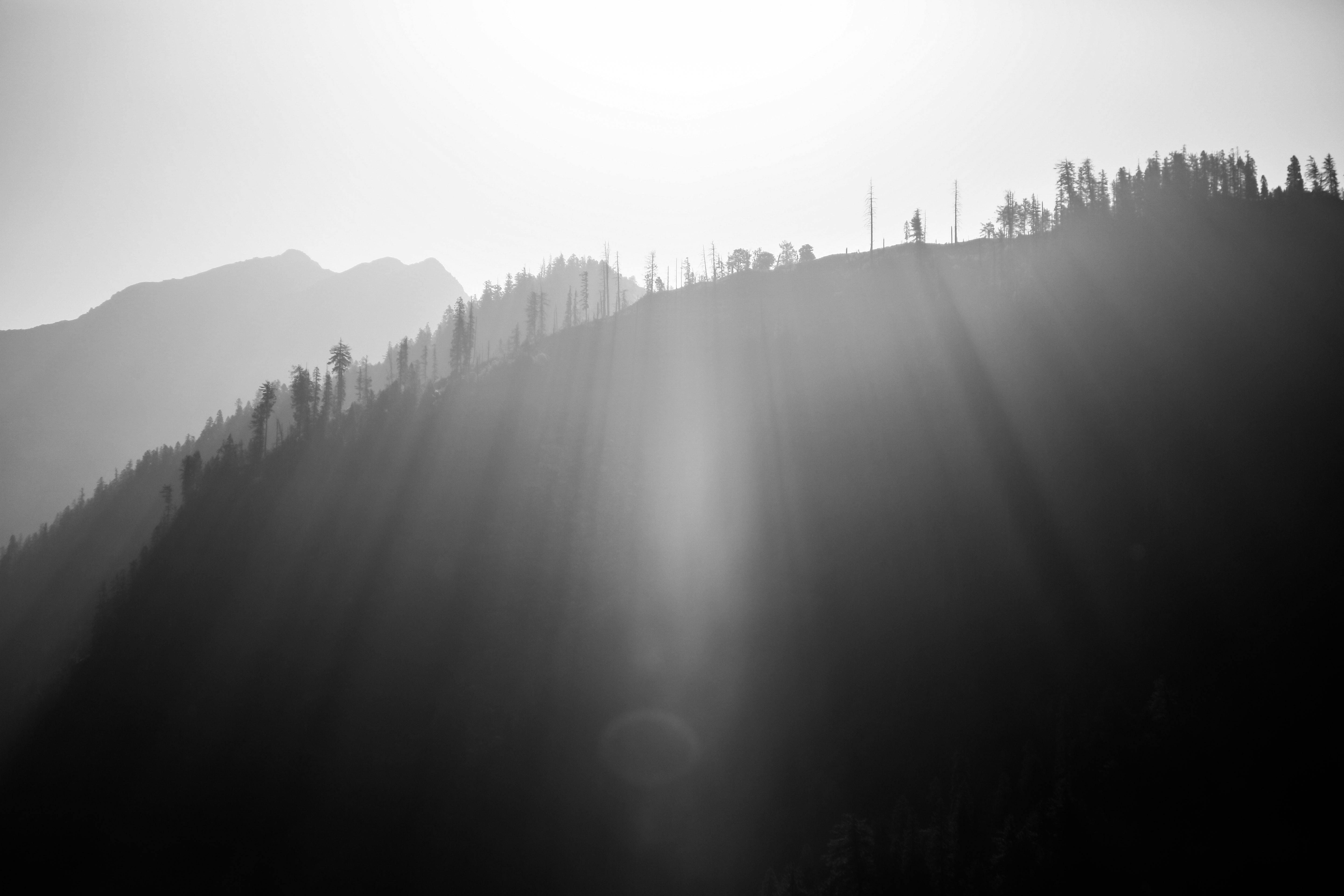 Free stock photo of black and white, black and white wallpaper, india