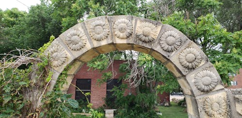 Fotos de stock gratuitas de arco, arco con girasoles tallados, arco de girasol