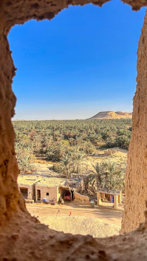 埃及, 沙漠, 沙漠视图 的 免费素材图片