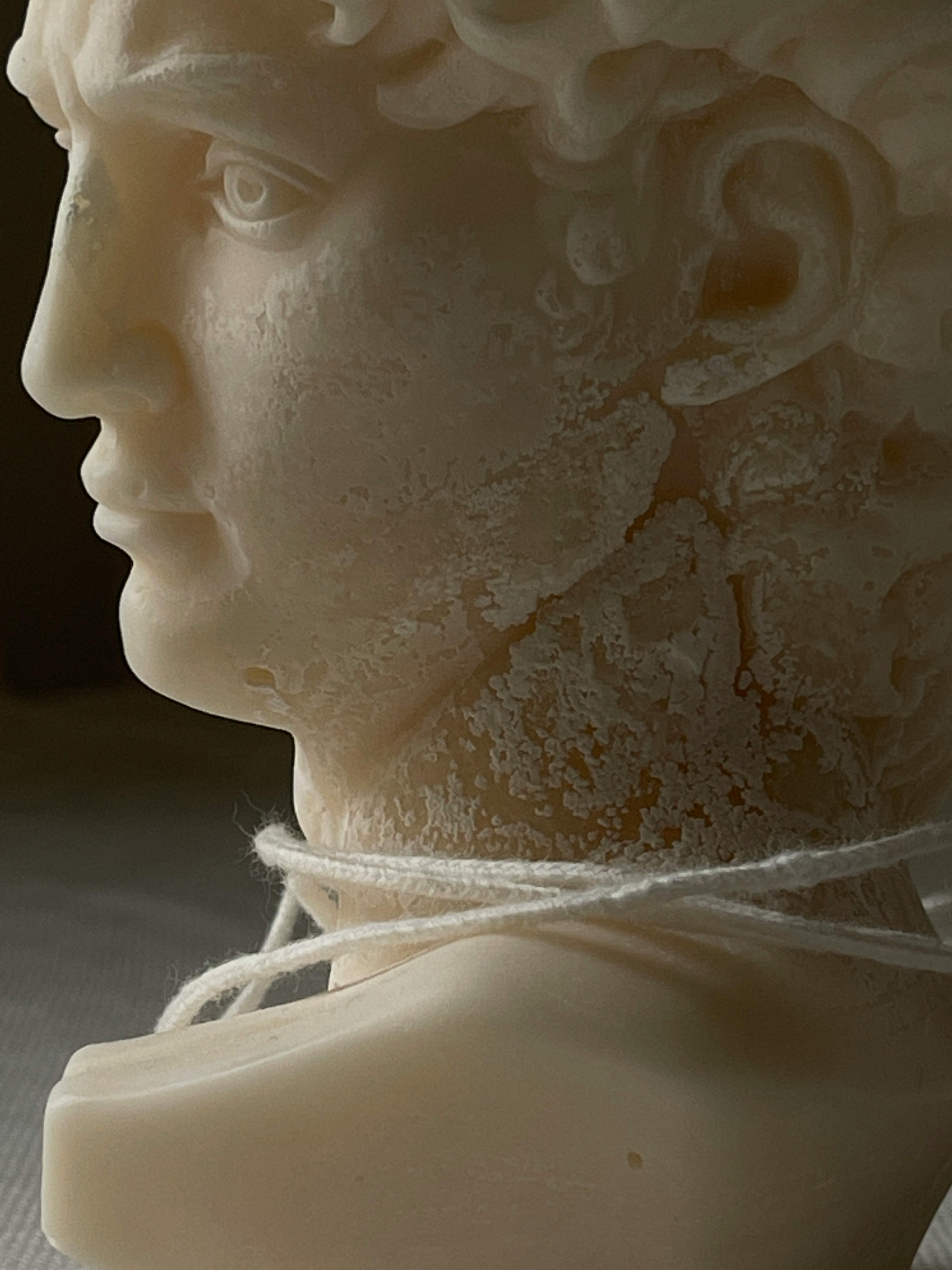 A Bust in a Garden · Free Stock Photo