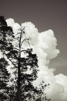 Image by Feodor Chistyakov