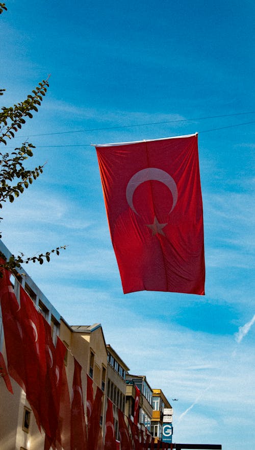 Foto stok gratis bendera, bendera turki, biru