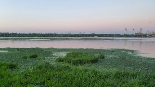 地平線の無料の写真素材