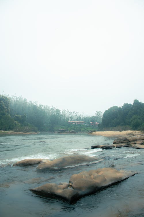 Gratis stockfoto met h2o, humeurig, rivier