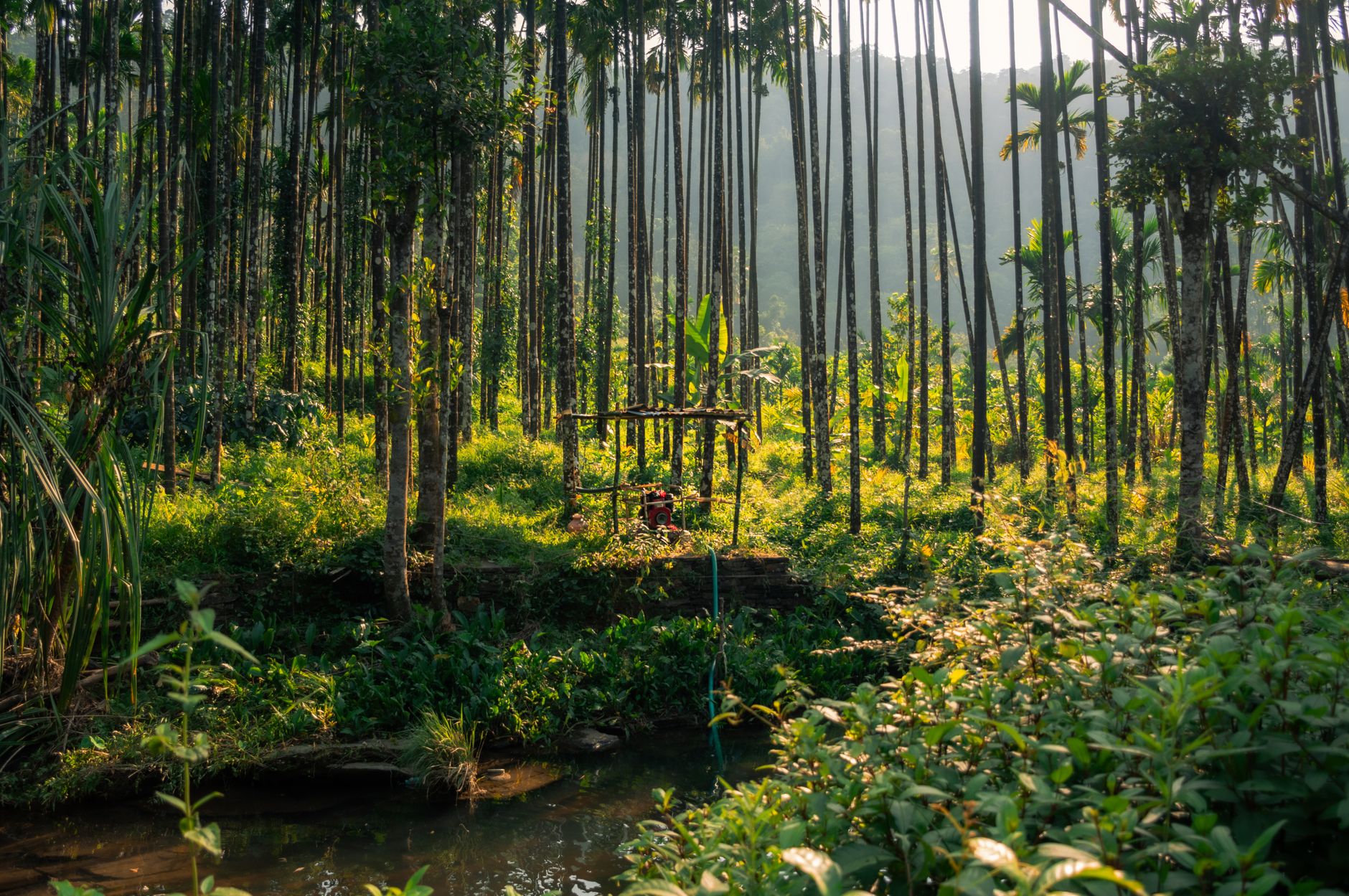 certifications environnementales bambou overview