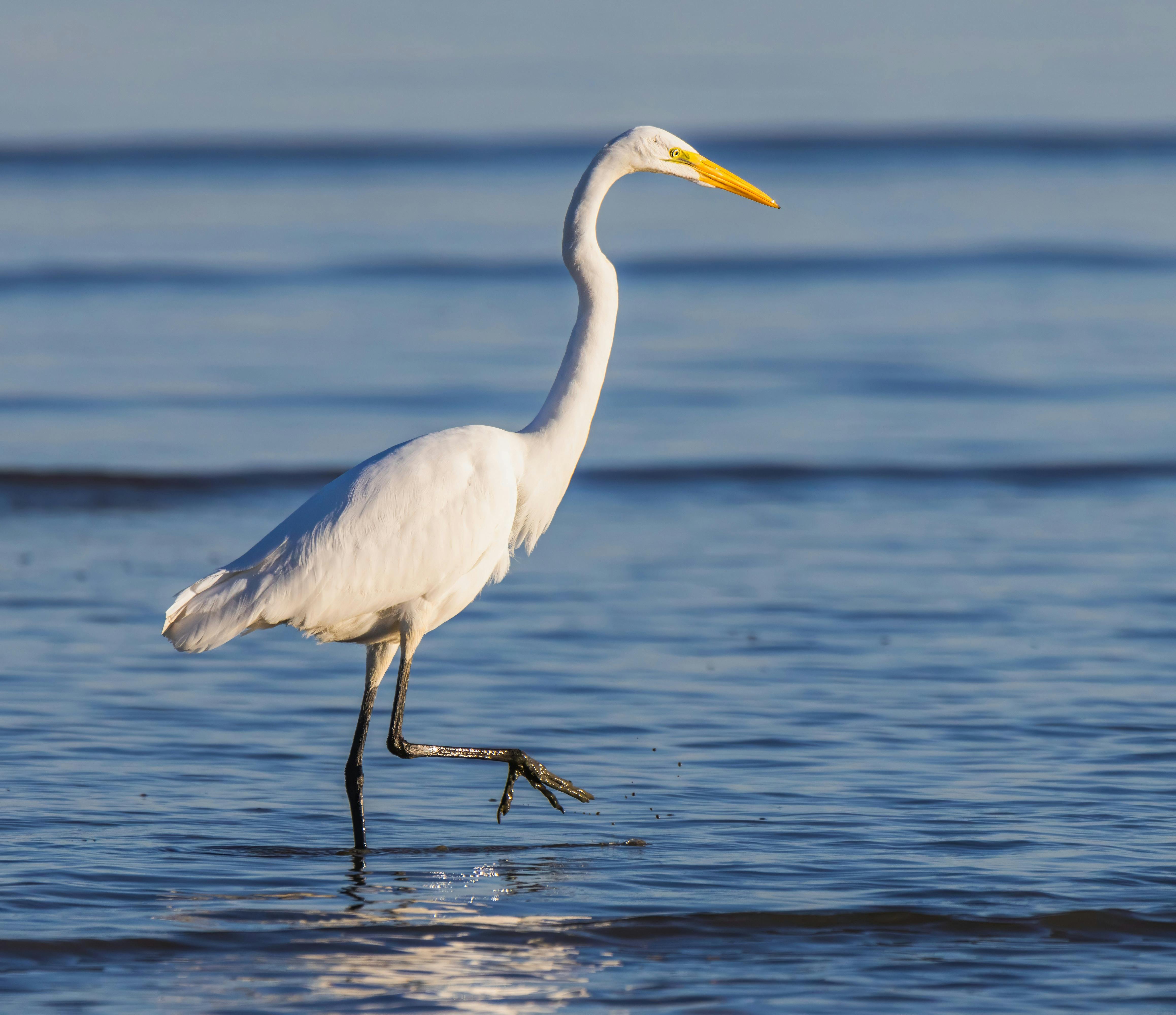 Seaside Uk Photos, Download The Best Free Seaside Uk Stock Photos & Hd 