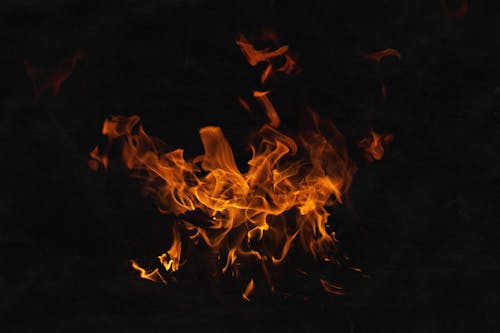 Foto d'estoc gratuïta de calor, cremant, flames