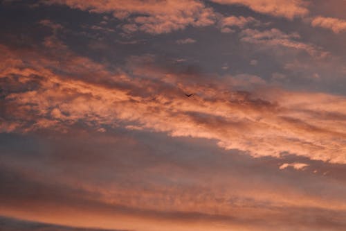คลังภาพถ่ายฟรี ของ ตอนเย็น, ท้องฟ้า, ทิวทัศน์เมฆ