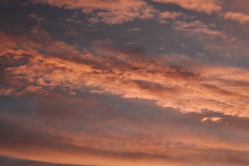 คลังภาพถ่ายฟรี ของ ตอนเย็น, ท้องฟ้า, ทิวทัศน์เมฆ