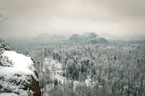 冬季, 易北河, 景觀 的 免費圖庫相片