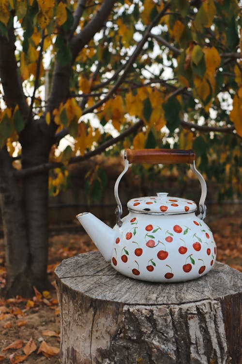 Teapot on a Tree Trunk 