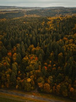A breathtaking aerial shot of a vibrant autumn forest near Bretten, Germany, showcasing rich fall colors.