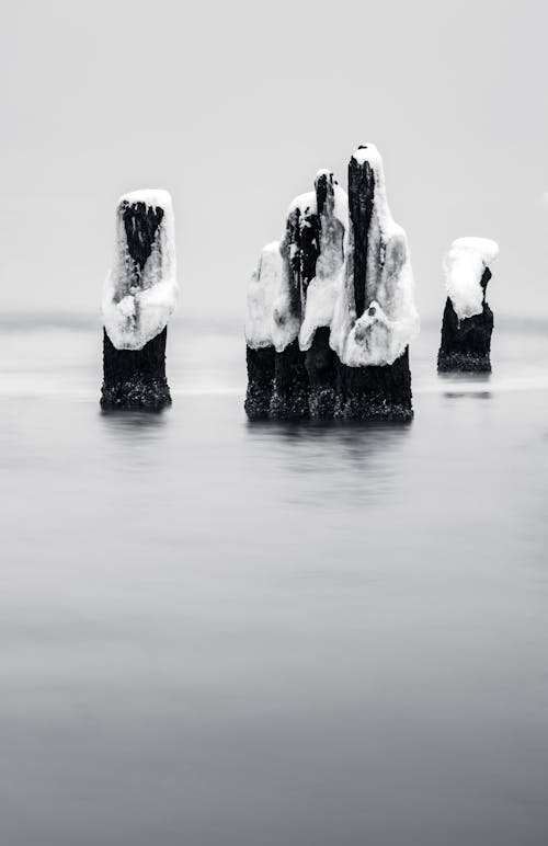 Fotobanka s bezplatnými fotkami na tému abstraktný, baltský, biela