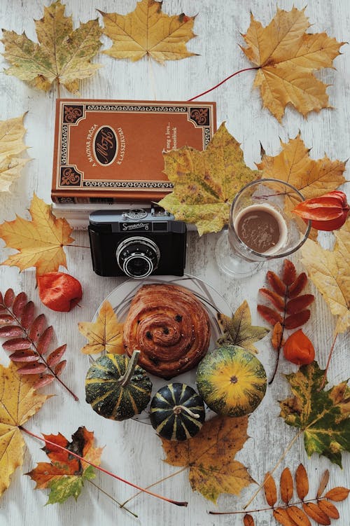 Autumn Leaves around Camera, Food and Pumpkins