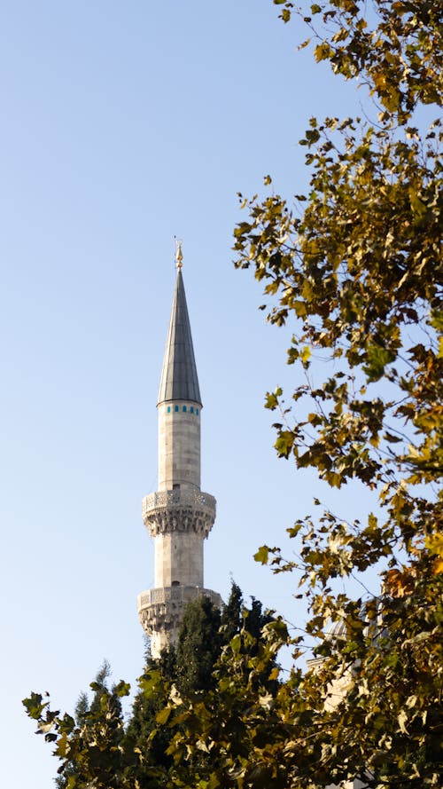 Fotos de stock gratuitas de antalya, arquitectura otomana, follaje