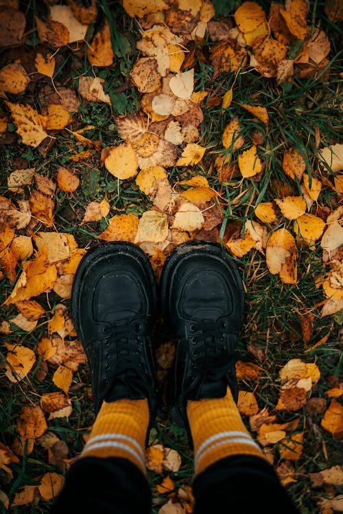 Shoes of Person Standing on Autumn Leaves