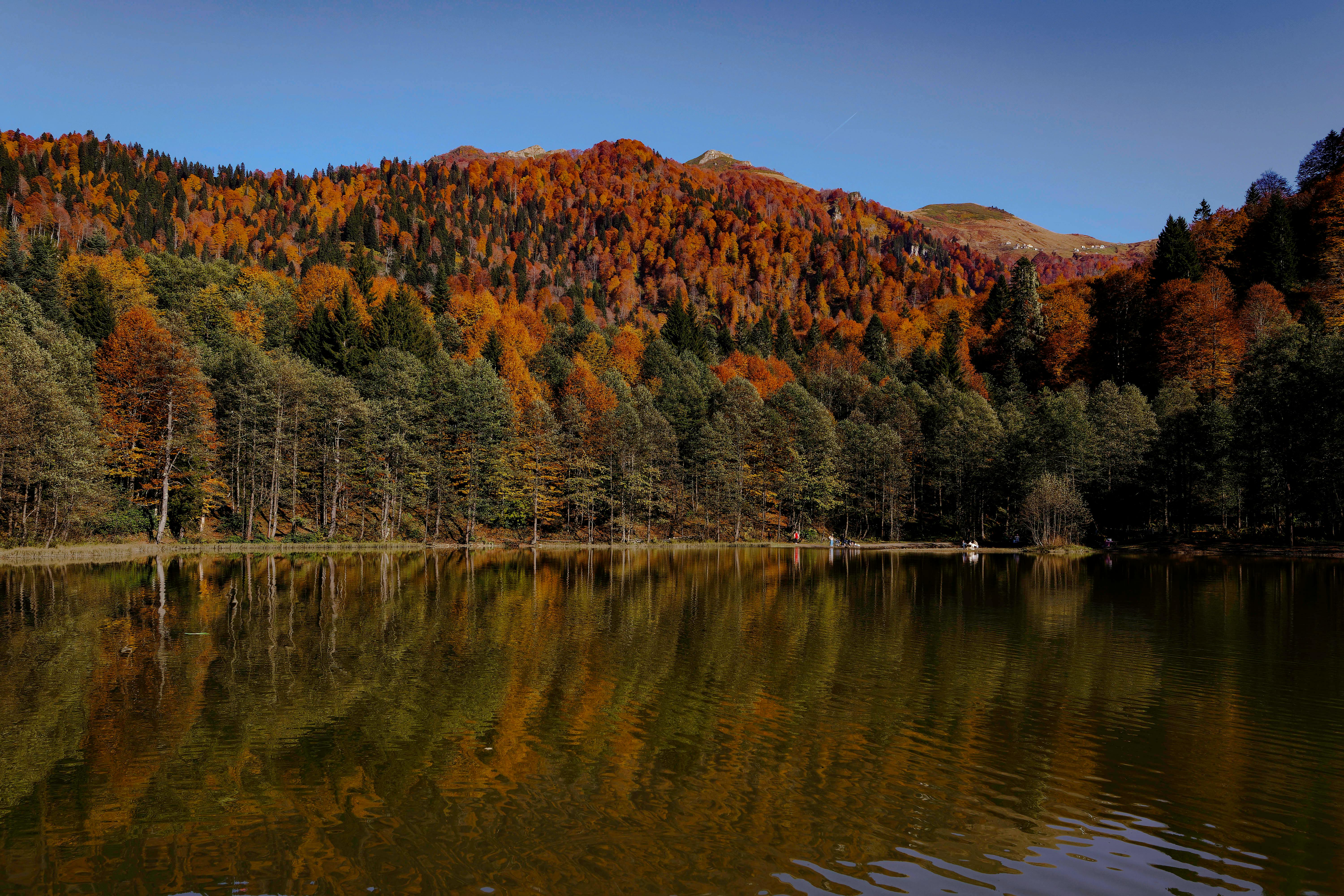 Serene autumn landscape with colorful forest reflecting on a tranquil lake in Artvin, Türkiye.