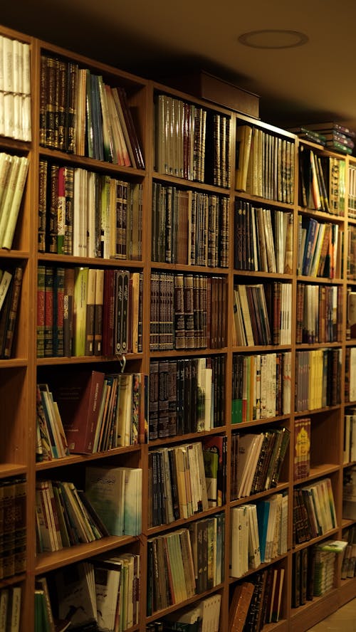 Books on Shelves in Library