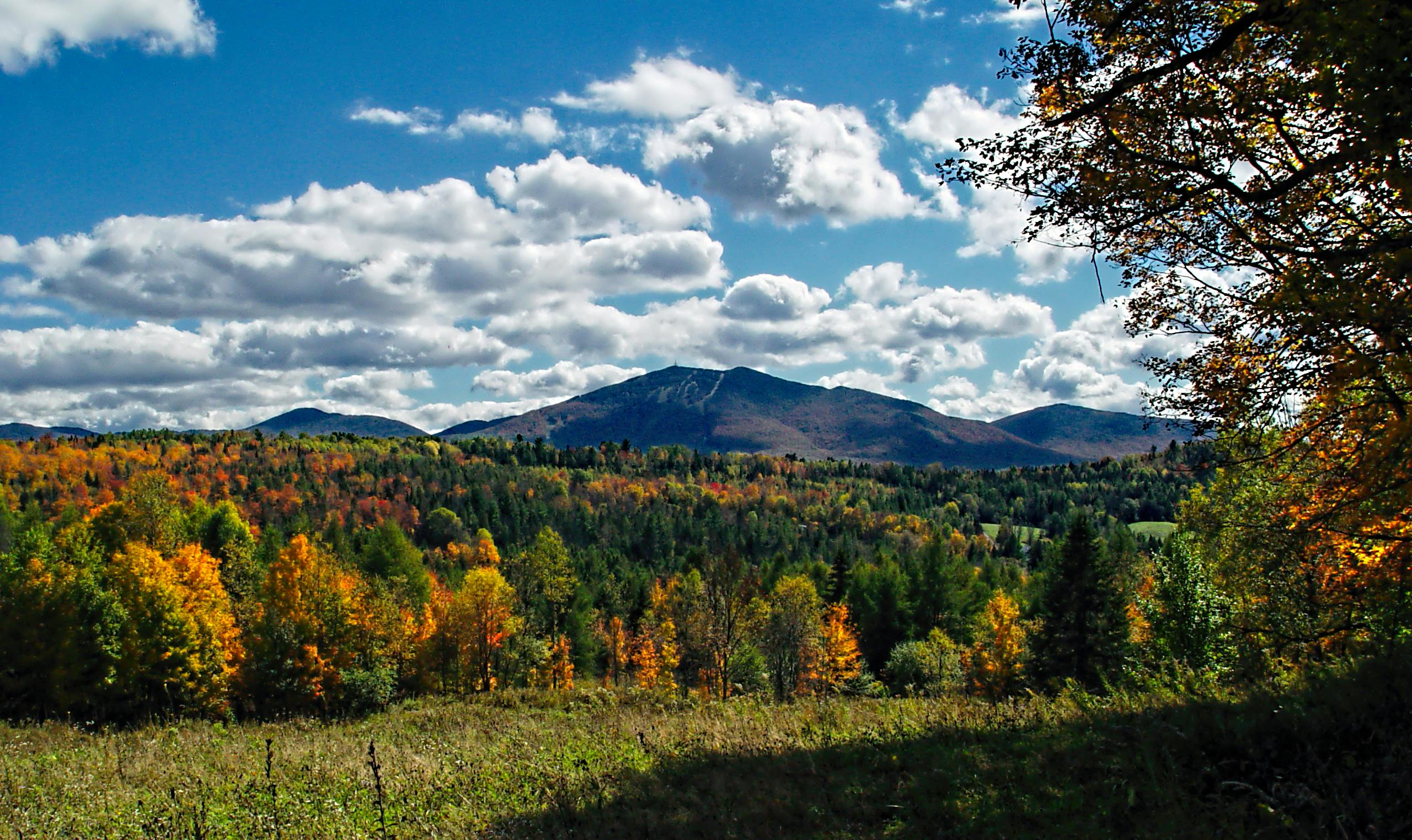 Free Stock Photo Of Fall Foliage Farm Green Mountains