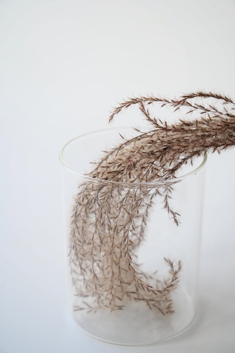 Delicate Twigs In Glass